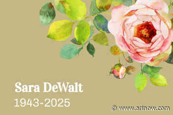 Obituary: Sara Catherine DeWalt (1943-2025)