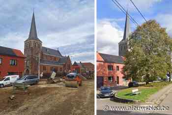 Aannemer vergist zich bij wegenwerken en velt 80 jaar oude lindeboom: “Ronduit schrijnend”