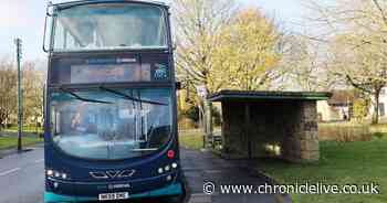 Britain's free bus pass rules explained, and what the new petition could mean