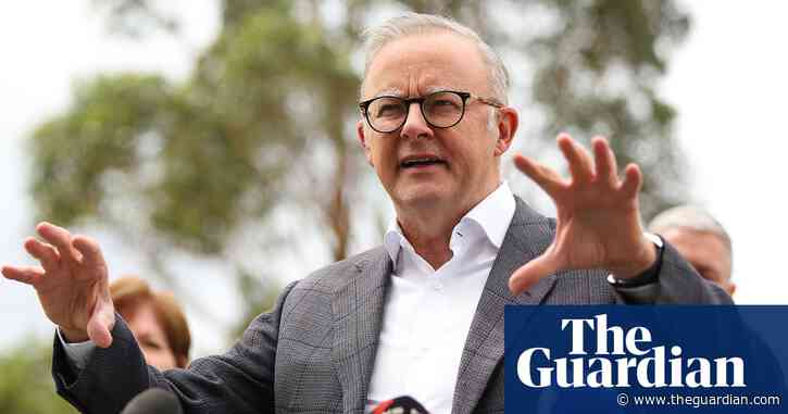 Anthony Albanese under pressure on salmon farming from both conservationists and industry