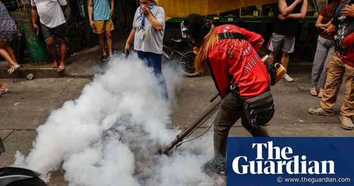 Philippines officials offer cash for mosquitoes amid rise in dengue cases