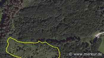 „Wichtiger Beitrag zum Artenschutz“: Rottenbuch hat neue Fläche fürs Ökopunkte-Konto im Visier