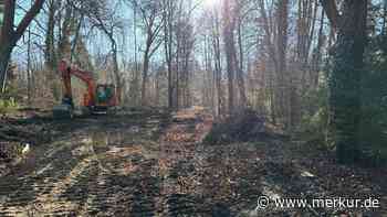 Kahlschlag bei Luxushotel am Starnberger See – Münchner Immobilienmogul: „Wollten nur aufräumen“