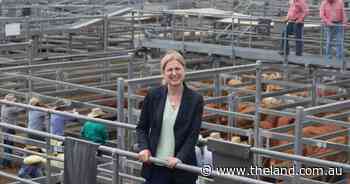 Where does the federal ag minister stand on live cattle exports?