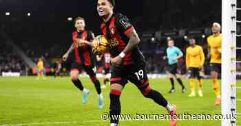 Pereira has improved Wolves defence and maintained attacking threat: Iraola