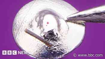 Micro artist sets world record for smallest sculpture