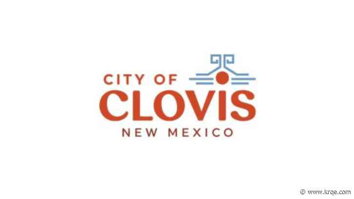 Clovis officials detect positive case of H5N1 Bird Flu found in cat