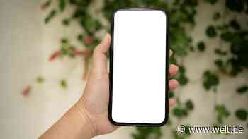 Internet-Blackout würde Milliardenschaden verursachen