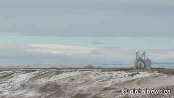 Southern Alberta farmers optimistic for 2025 growing season