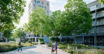 Groene metamorfose van Nijmeegs centrum maakt de tongen los: van ‘prachtige plannen’ tot ‘overdrijven is een kunst’