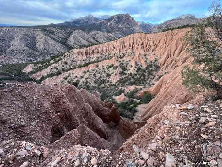 New Mexico officials express alarm as Forest Service sees large layoffs
