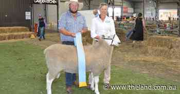Canberra Royal 2025: Big Border Leicester ram takes supreme title