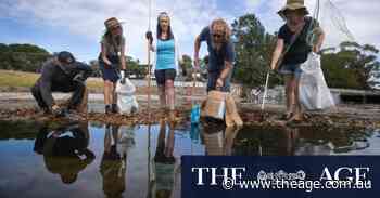 The cleanest and dirtiest beaches in Melbourne