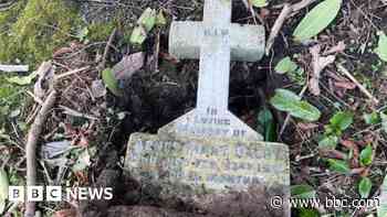 Uprooted child's grave shows 'lack of compassion'
