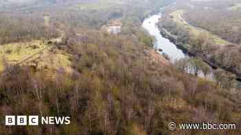 Council reiterates park pledge after legal setback