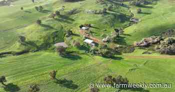 Rocky Springs is ideally suited to sheep production, conservative cropping