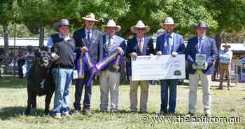 Canberra Royal 2025: Sentimental win for breeder in small breeds competition