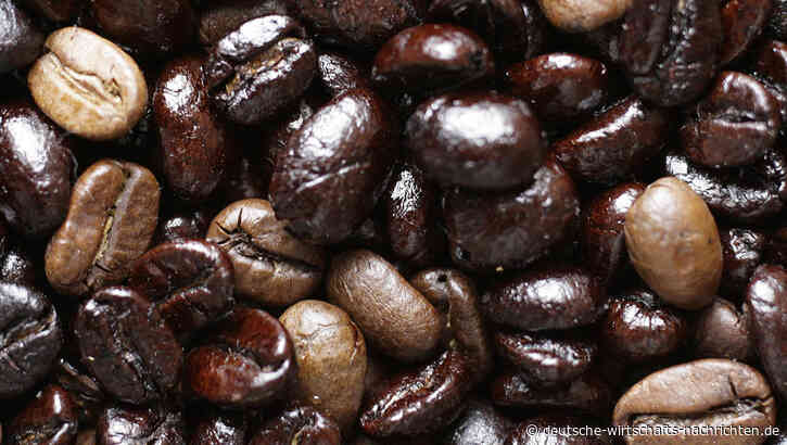 Kaffee bald Luxus? Wie durch ein EU-Gesetz, Abholzung und das Wetter die Preise explodieren
