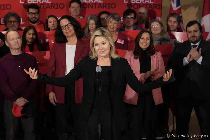 Ontario votes 2025: Party leaders fan out on last weekend of election campaign