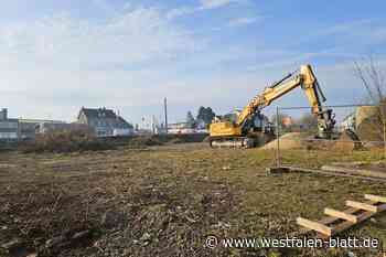 Rodungsarbeiten auf dem Hockeyplatz