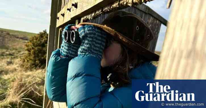 Young country diary: A sky full of geese is an awe-inspiring sight