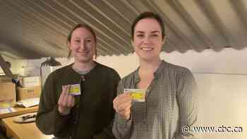 Most people in Denmark and the Netherlands have a doctor. Here's what Canada can learn