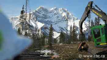 Bow Valley can't be fireproof, so officials work on resilience against future wildfire threats