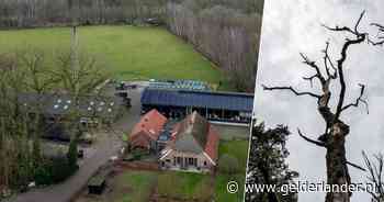 Moeten alle boeren hier weg? Iedereen wil iets met de Veluwe in de strijd tegen de stikstof