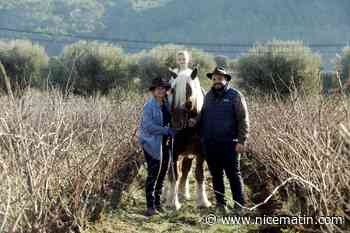 Le trait comtois K d’Or en piste pour un trophée à Paris