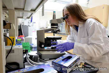 Life on Mars? UNLV professor leads study of first soil samples from Mars