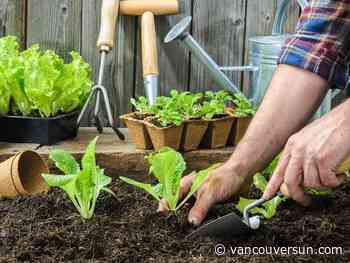 Brian Minter: The secret to seeds lies in germination. Here's how to create success