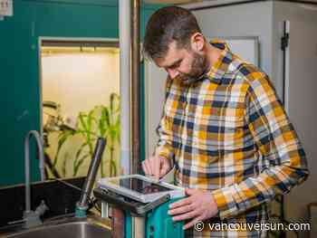 Climate Change: UBC research finds plants are 'leaking' more water than thought