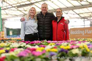 First look inside new Gosforth Garden Centre replacing Dobbies
