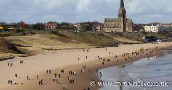 Surfing, swimming and beach volleyball: 21 pictures of people soaking up the sunshine in Tynemouth