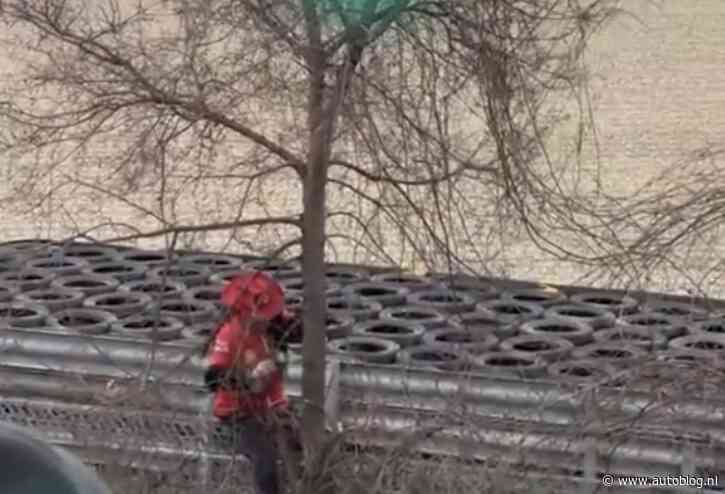 Man sloopt boom om Hamilton in Ferrari te zien, wordt gearresteerd