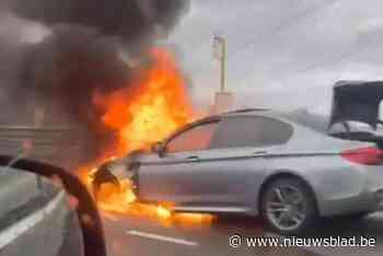 BMW vat plots vuur op gewestweg en brandt helemaal uit: vijf inzittenden kunnen op tijd uitstappen