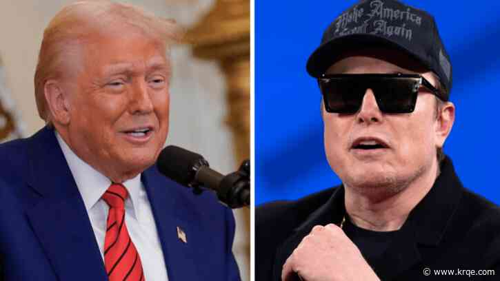 Trump suggests Musk needs to be 'more aggressive'