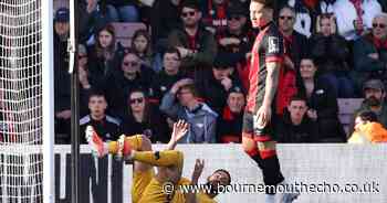 Cherries beaten by Wolves after first-half Zabarnyi red card