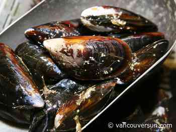 Recipe: Stuffed mussels a delightful West Coast seafood appetizer
