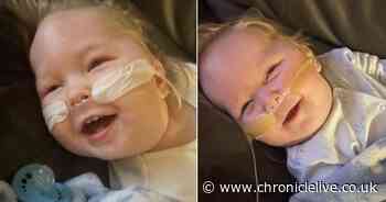 'He was my life and soul' - Mum's wish to give 18-month old 'perfect' headstone