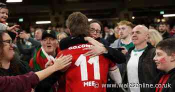 The best pictures as brave Wales players' proud families make feelings clear
