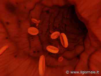 Cos’è la piastrinopenia diagnosticata a Papa Francesco