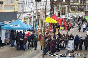 Bald zwei Bundestagsabgeordnete aus dem Kreis Höxter?