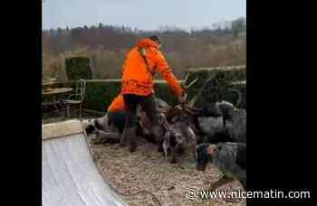 "Ils l'ont massacré": Luc Besson scandalisé après la mise à mort d'un cerf sur la terrasse de sa propriété par des chasseurs