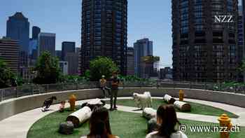 Fünf Tage ins Büro und keine Workations mehr: Der Backlash gegen das moderne Arbeiten hat begonnen