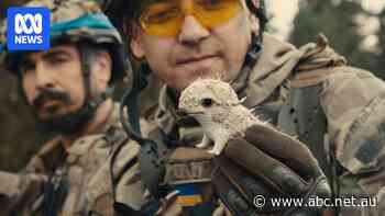 Why an Oscar-nominated documentary was kept top-secret for a year