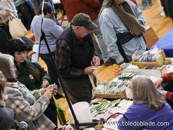 Seed swap grows interest in gardening