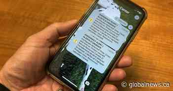 Some who felt B.C. earthquake didn’t get an alert, prompting system review