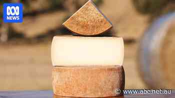 Goats cheese tops national dairy awards for first time