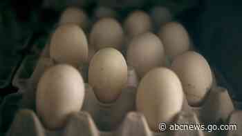 Agriculture Department tries to rehire fired workers tied to bird flu response